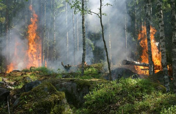 Rischio incendi: le  raccomandazioni del Ministro della Protezione civile e Vademecum Anci