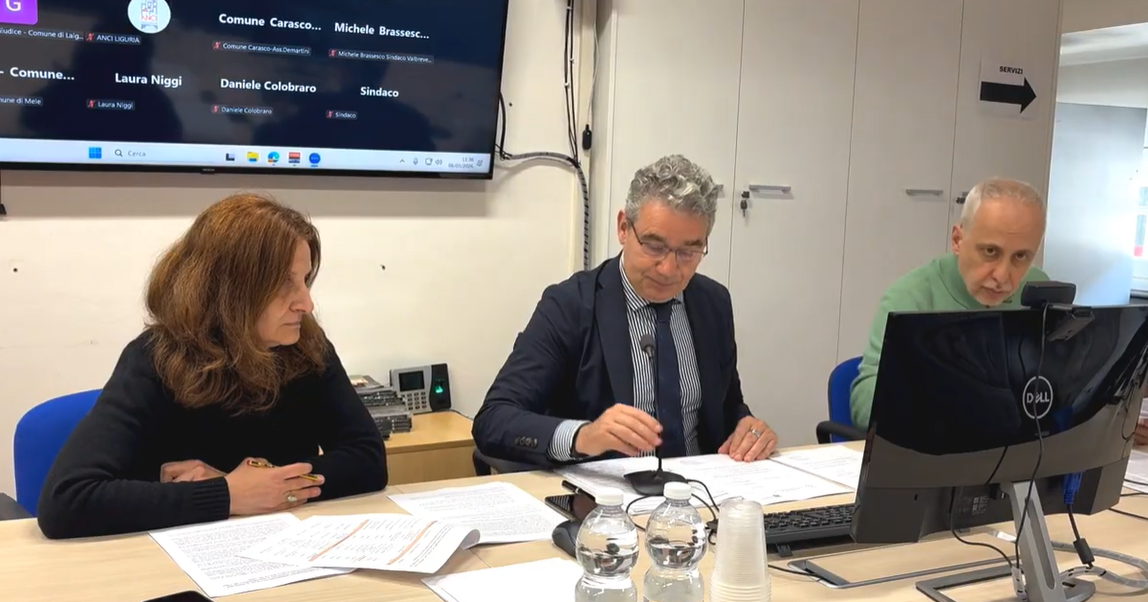 Al centro della Commissione Ambiente rinnovabili, qualità dell'aria e radiazioni ionizzanti